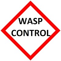 Wasp Nest removal and control Kent 375379 Image 0